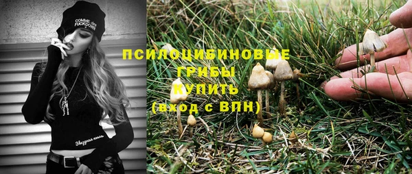 spice Алексин